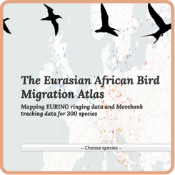 Eurasian African Bird Migration Atlas