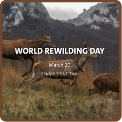 World Rewilding Day