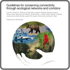 Guidelines for conserving connectivity