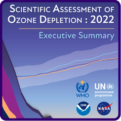 2022 Ozone depletion