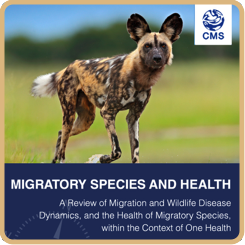 Migratory species & health